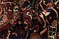 10' 4 x 15' Bakhtiar Persian Rug thumbnail image 11
