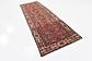 3' 3 x 9' 6 Liliyan Persian Runner Rug thumbnail