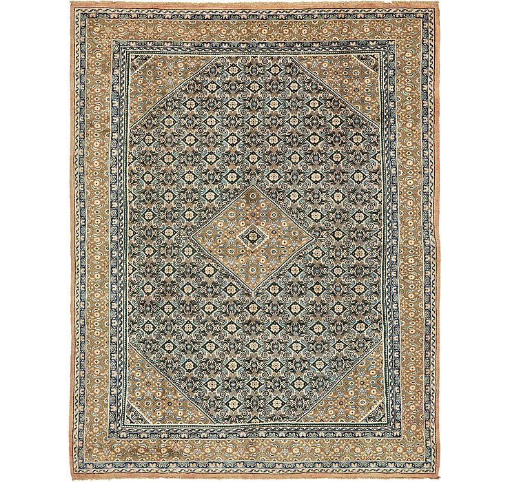 10' x 13' Farahan Persian Rug