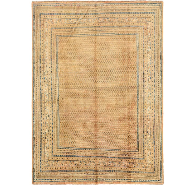 9' x 12' 3 Botemir Persian Rug