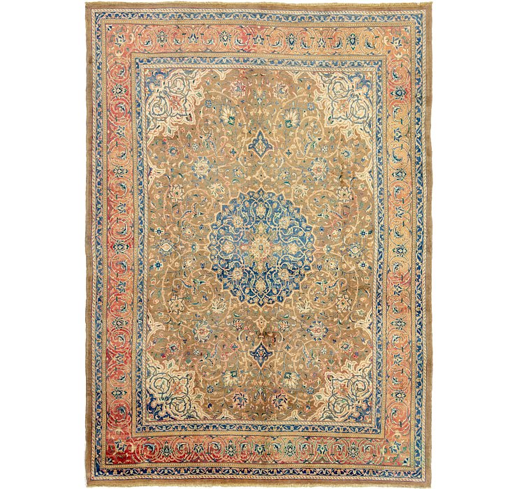 10' x 13' 7 Farahan Persian Rug