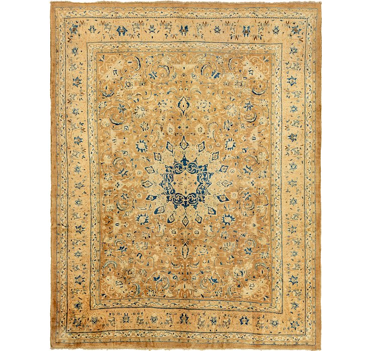 10' 2 x 13' Farahan Persian Rug
