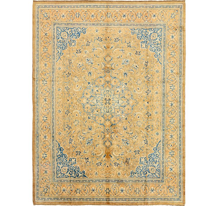 9' 9 x 13' Farahan Persian Rug