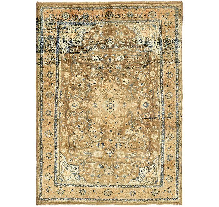 7' 1 x 10' Nanaj Persian Rug