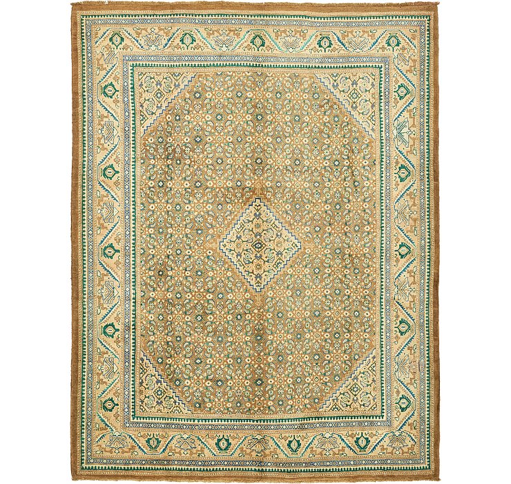 10' 1 x 13' 1 Farahan Persian Rug