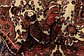 3' 7 x 9' 10 Tafresh Persian Runner Rug thumbnail image 10