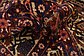 5' 3 x 10' 3 Bakhtiar Persian Rug thumbnail image 10