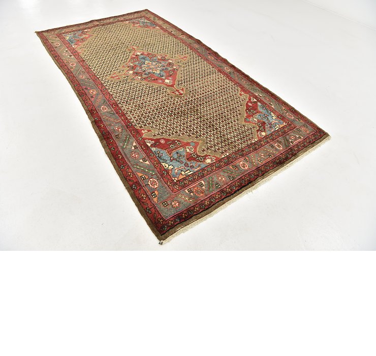 HandKnotted 5' x 9' 4 Songhor Persian Rug