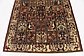 5' 4 x 10' 3 Bakhtiar Persian Rug thumbnail image 5