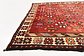 4' 9 x 9' 3 Bakhtiar Persian Rug thumbnail image 6