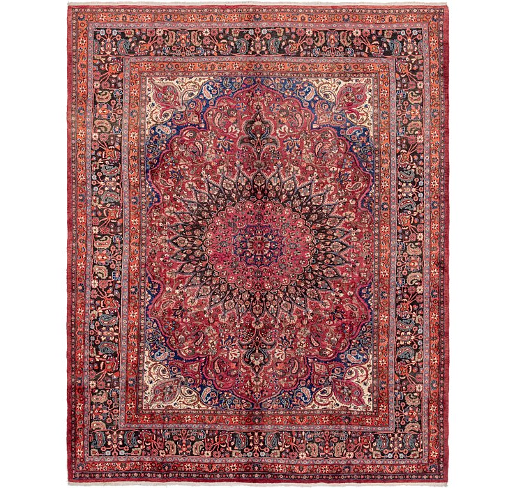 10' 3 x 13' Birjand Persian Rug