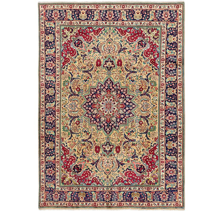 6' 8 x 9' 7 Tabriz Persian Rug