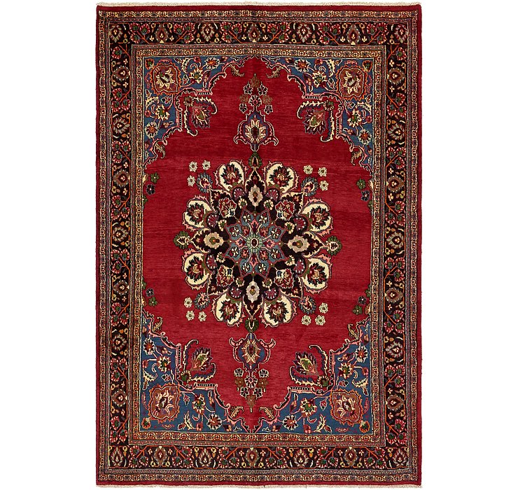6' 8 x 10' Birjand Persian Rug