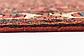 3' 5 x 10' 2 Hossainabad Persian Runner Rug thumbnail