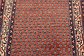 3' 8 x 10' 1 Botemir Persian Runner Rug thumbnail image 4