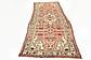 3' 3 x 9' 8 Liliyan Persian Runner Rug thumbnail