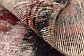 7' 3 x 9' Ultra Vintage Persian Rug thumbnail image 8