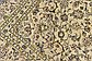 6' 7 x 9' 7 Kashan Persian Rug thumbnail image 5