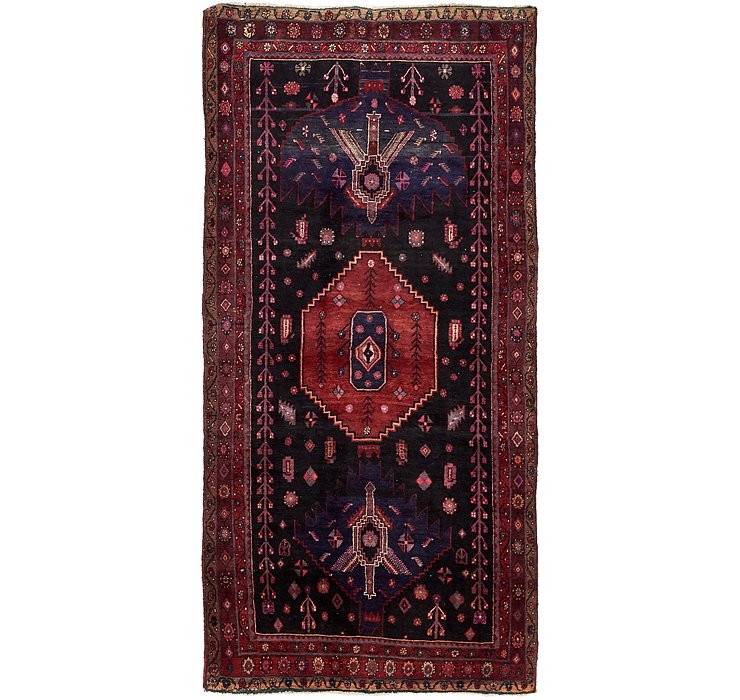 5' x 10' 2 Sirjan Persian Runner Rug