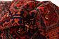 4' 4 x 10' 5 Ardabil Persian Runner Rug thumbnail