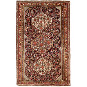 6' 1 x 9' 5 Shiraz Persian Rug