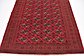 6' 7 x 9' 2 Torkaman Persian Rug thumbnail image 5