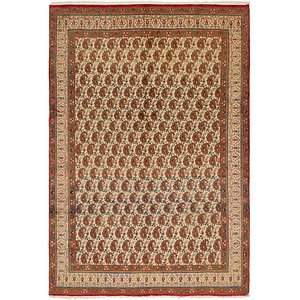 7' x 10' 6 Mood Persian Rug