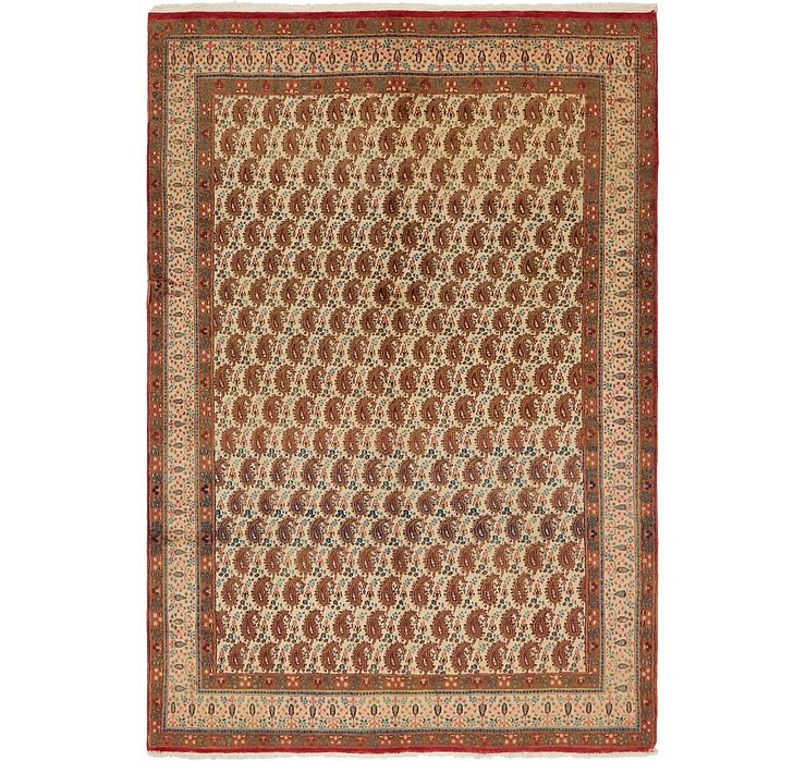 7' x 10' 6 Mood Persian Rug