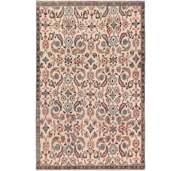 5' 5 x 8' 3 Birjand Persian Rug