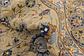 8' 6 x 12' 9 Kashan Persian Rug thumbnail
