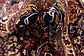 9' 8 x 12' Mashad Persian Rug thumbnail