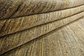 Unique Loom 6' 5 x 9' 7 Modern Ziegler Oriental Rug thumbnail image 12