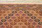 3' 11 x 5' 3 Torkaman Persian Rug thumbnail