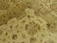 15' 3 x 23' 8 Peshawar Ziegler Oriental Rug thumbnail image 16