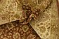 8' x 10' 3 Tabriz Hadji Jalili Oriental Rug thumbnail image 9