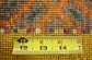 4' 8 x 6' 10 Ariana Ziegler Oriental Rug thumbnail