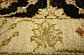 1' 8 x 5' 1 Peshawar Ziegler Oriental Runner Rug thumbnail image 6