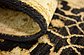 1' 8 x 5' 1 Peshawar Ziegler Oriental Runner Rug thumbnail image 7