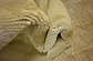 2' 8 x 3' 9 Darya Oriental Rug thumbnail image 7