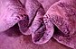 8' x 9' 6 Darya Oriental Rug thumbnail image 8