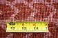 7' 8 x 9' 6 Darya Oriental Rug thumbnail image 10