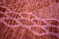 7' 8 x 9' 6 Darya Oriental Rug thumbnail image 7