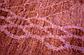 7' 8 x 9' 6 Darya Oriental Rug thumbnail
