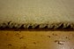 3' 11 x 6' 2 Kashkuli Gabbeh Oriental Rug thumbnail image 6