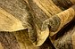 8' 2 x 9' 5 Modern Ziegler Oriental Rug thumbnail image 10
