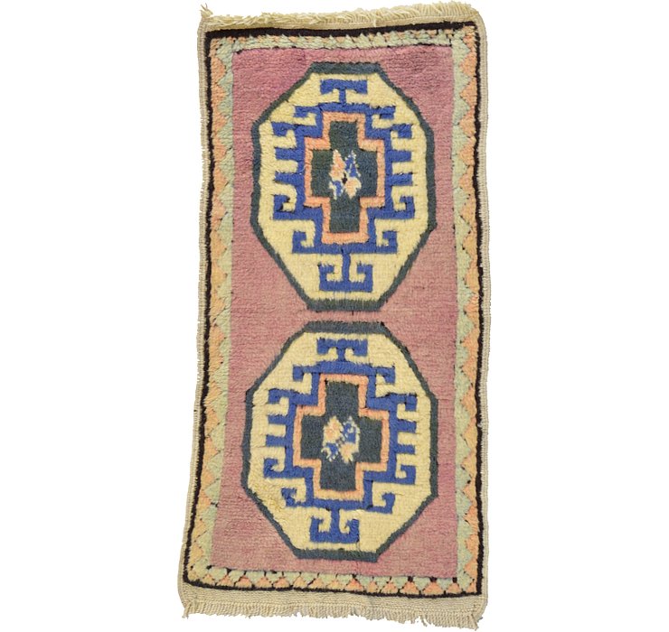 1' 7 x 3' 1 Kars Rug