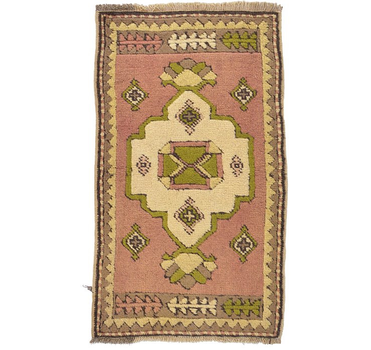 1' 10 x 3' 1 Kars Rug