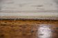 6' 7 x 10' 4 Royal Tabriz Oriental Rug thumbnail image 8