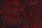 7' 7 x 9' 10 Darya Oriental Rug thumbnail image 5