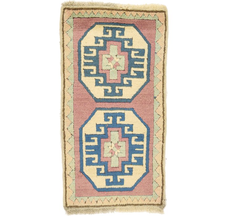 1' 7 x 3' 1 Kars Rug